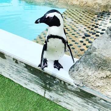 マリンワールド海の中道に投稿された画像（2021/9/24）