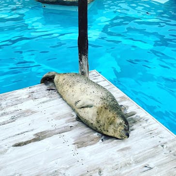 マリンワールド海の中道に投稿された画像（2021/9/24）