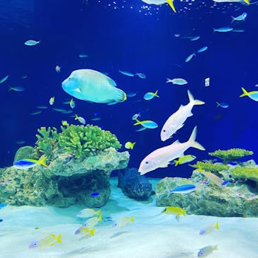 マリンワールド海の中道に投稿された画像（2021/9/24）