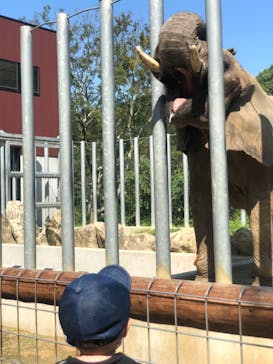 しろとり動物園に投稿された画像（2021/9/24）