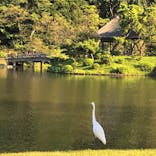 三溪園に投稿された画像（2021/9/24）