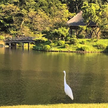 三溪園に投稿された画像（2021/9/24）