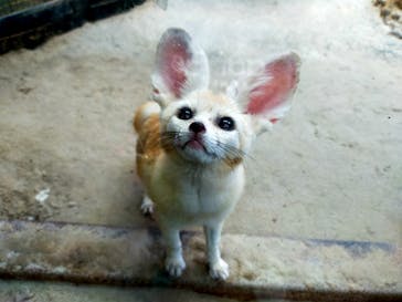 伊豆シャボテン動物公園に投稿された画像（2021/9/24）