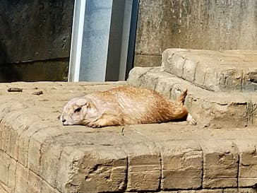 伊豆シャボテン動物公園に投稿された画像（2021/9/24）