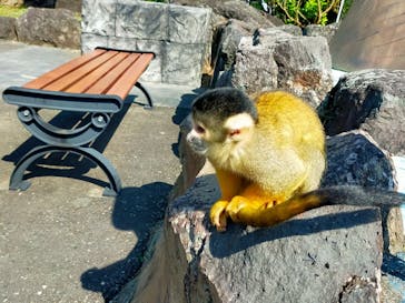 伊豆シャボテン動物公園に投稿された画像（2021/9/24）