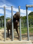 しろとり動物園に投稿された画像（2021/9/24）