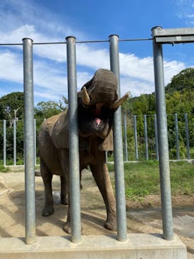 しろとり動物園に投稿された画像（2021/9/24）