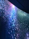 名古屋港水族館に投稿された画像（2021/9/24）