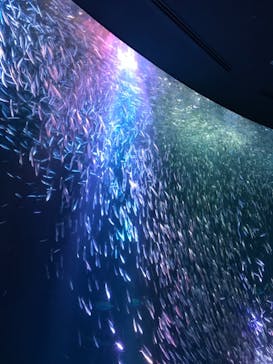 名古屋港水族館に投稿された画像（2021/9/24）