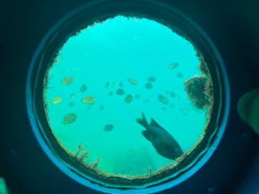 串本海中公園水族館に投稿された画像（2021/9/24）