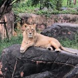 天王寺動物園に投稿された画像（2021/9/24）