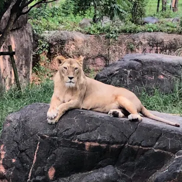 天王寺動物園に投稿された画像（2021/9/24）