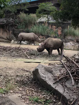 天王寺動物園に投稿された画像（2021/9/24）