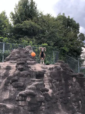 天王寺動物園に投稿された画像（2021/9/24）