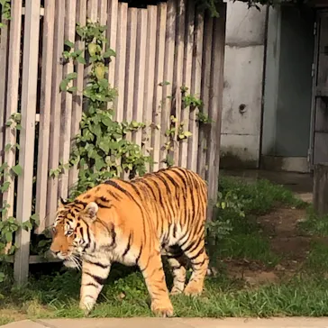 天王寺動物園に投稿された画像（2021/9/24）