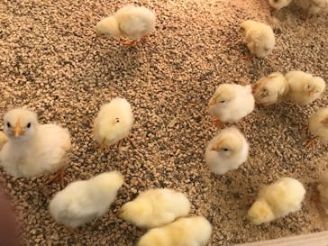 Moff アニマル カフェ イーアス 高尾店に投稿された画像（2021/9/24）