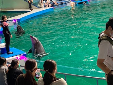 マクセル アクアパーク品川に投稿された画像（2021/9/24）