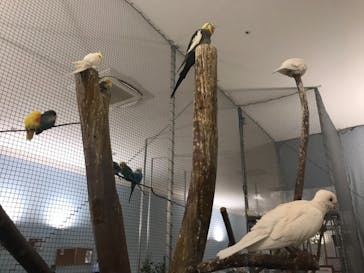 Moff アニマル カフェ イーアス 高尾店に投稿された画像（2021/9/24）