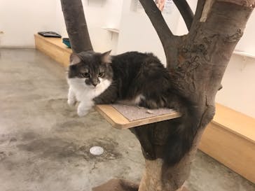 Moff アニマル カフェ イーアス 高尾店に投稿された画像（2021/9/24）