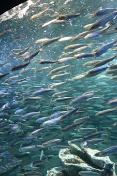 サンシャイン水族館に投稿された画像（2021/9/24）