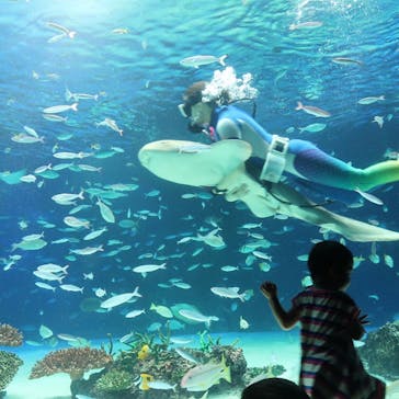 サンシャイン水族館に投稿された画像（2021/9/24）