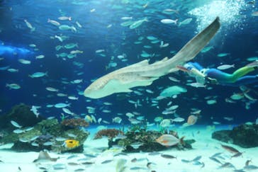 サンシャイン水族館に投稿された画像（2021/9/24）