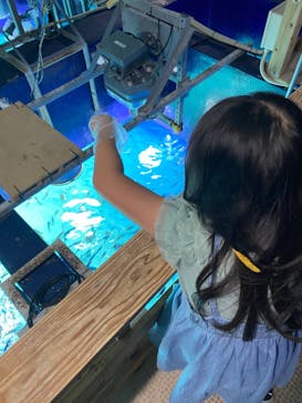 サンシャイン水族館に投稿された画像（2021/9/24）