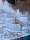 天王寺動物園に投稿された画像（2021/9/24）