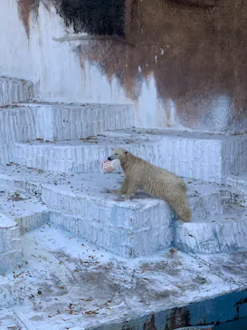 天王寺動物園に投稿された画像（2021/9/24）