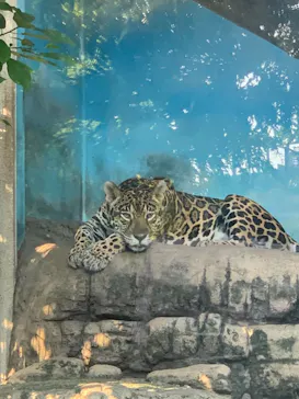 天王寺動物園に投稿された画像（2021/9/24）