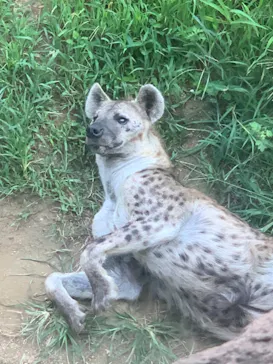 天王寺動物園に投稿された画像（2021/9/24）