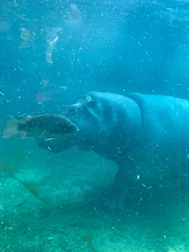 天王寺動物園に投稿された画像（2021/9/24）