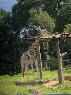 天王寺動物園に投稿された画像（2021/9/24）