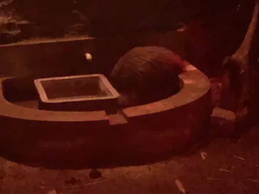 天王寺動物園に投稿された画像（2021/9/24）