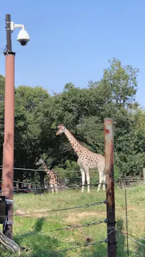 天王寺動物園に投稿された画像（2021/9/24）