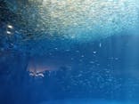 名古屋港水族館に投稿された画像（2021/9/25）