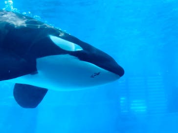 名古屋港水族館に投稿された画像（2021/9/24）