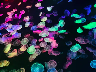 すみだ水族館に投稿された画像（2021/9/24）