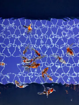 すみだ水族館に投稿された画像（2021/9/24）