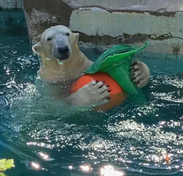 天王寺動物園に投稿された画像（2021/9/24）