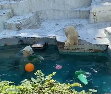 天王寺動物園に投稿された画像（2021/9/24）