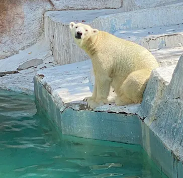 天王寺動物園に投稿された画像（2021/9/24）