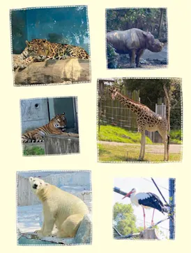 天王寺動物園に投稿された画像（2021/9/24）