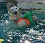 天王寺動物園に投稿された画像（2021/9/25）