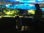 カワスイ 川崎⽔族館に投稿された画像（2021/9/25）