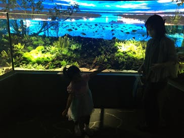 カワスイ 川崎⽔族館に投稿された画像（2021/9/24）