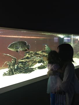 カワスイ 川崎⽔族館に投稿された画像（2021/9/24）