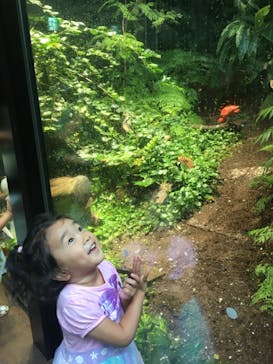 カワスイ 川崎⽔族館に投稿された画像（2021/9/24）