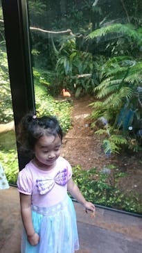 カワスイ 川崎⽔族館に投稿された画像（2021/9/24）