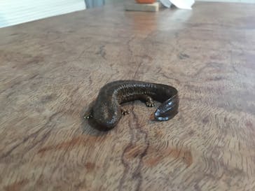 カワスイ 川崎⽔族館に投稿された画像（2021/9/24）